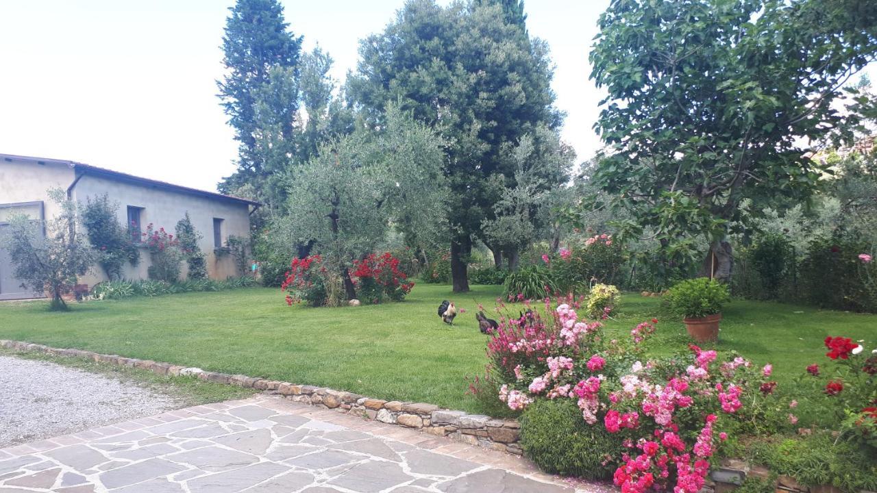 B&B L'Oliveto Lucignano Bagian luar foto